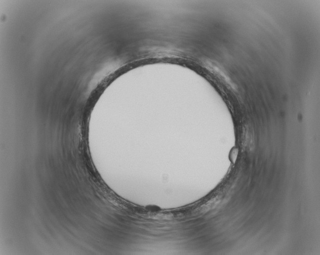 X0000088181261200706121642