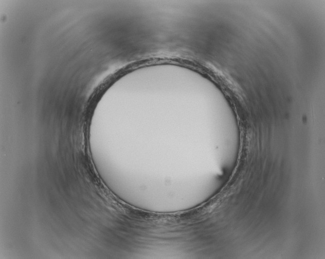 X0000088181262200706121642