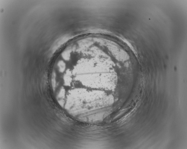 X0000088181263200706121642