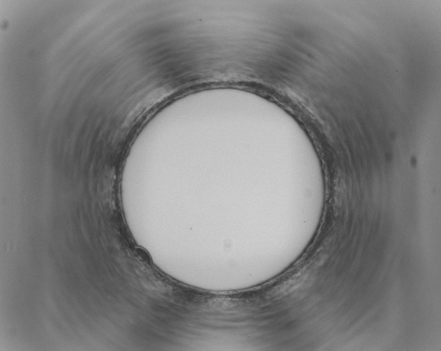 X0000088181265200706121642