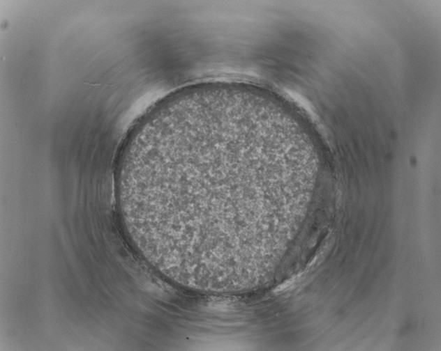 X0000088181267200706121642