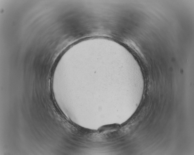 X0000088181268200706121642