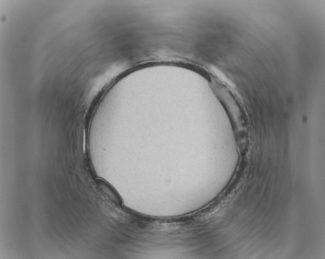 X0000088181269200706121642