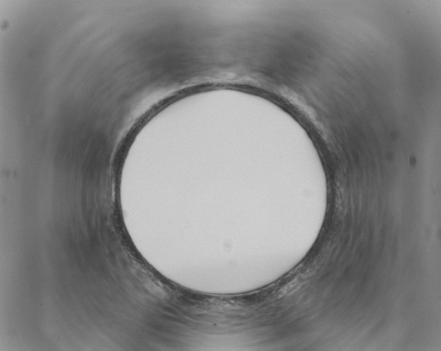 X0000088181270200706121642