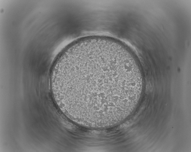 X0000088181271200706121642