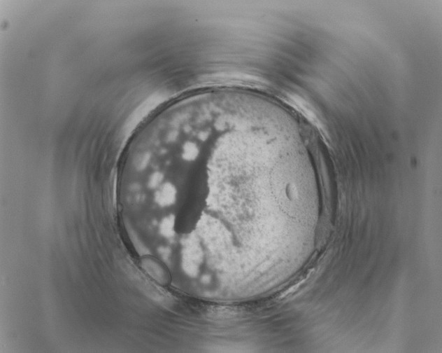 X0000088181275200706121642