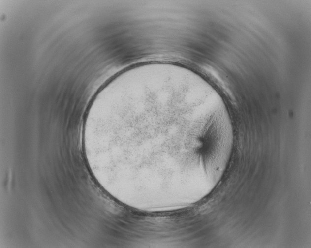 X0000088181276200706121642