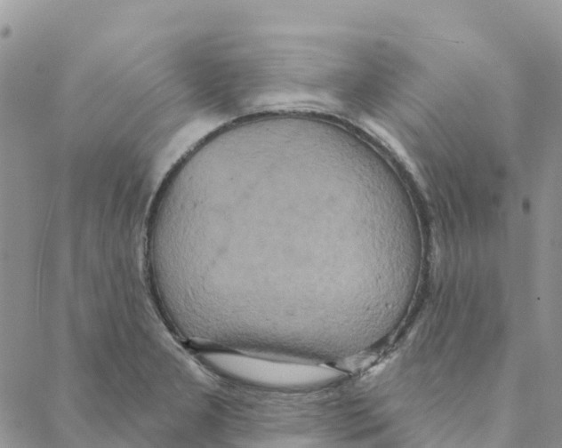 X0000088181277200706121642