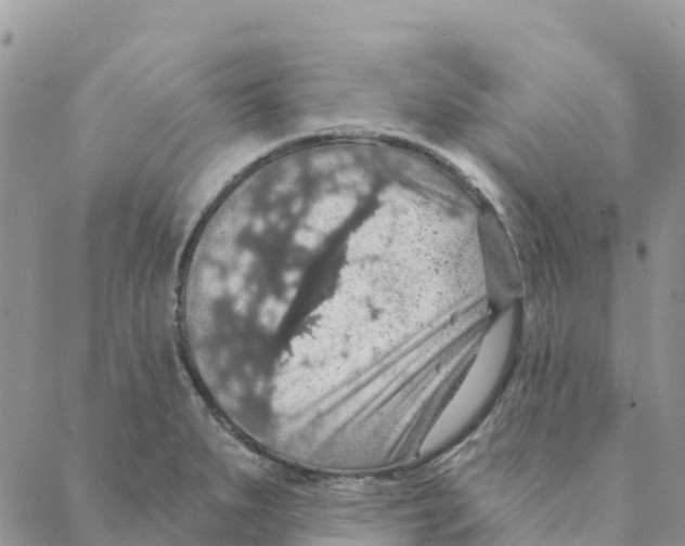 X0000088181279200706121642