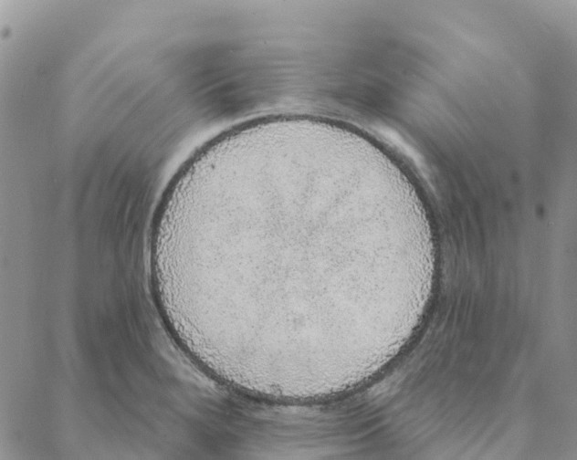 X0000088181280200706121642