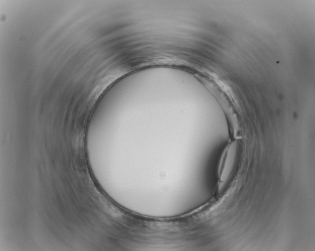 X0000088181281200706121642