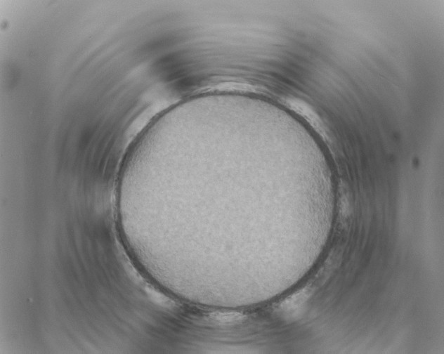 X0000088181282200706121642