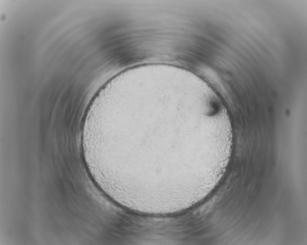 X0000088181284200706121642