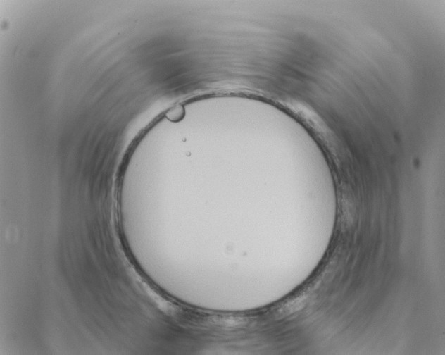 X0000088181286200706121642