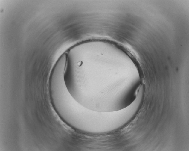 X0000088181287200706121642