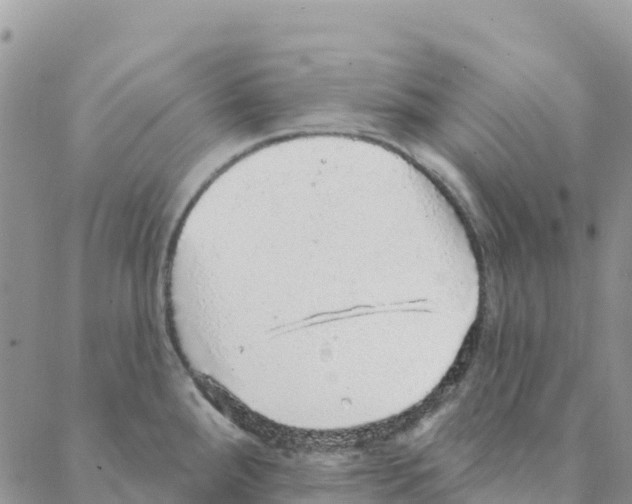 X0000088181288200706121642