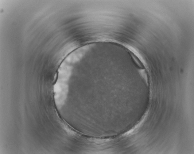 X0000088181289200706121642