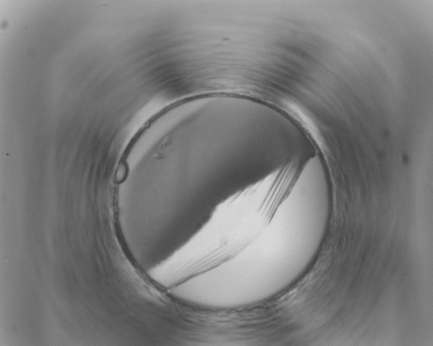 X0000088181291200706121642