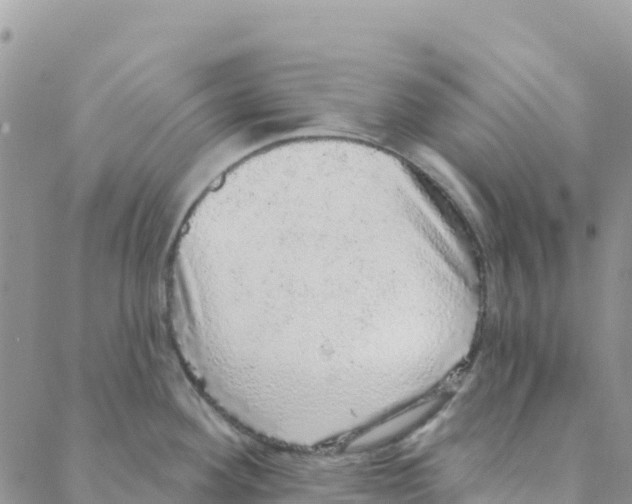 X0000088181292200706121642