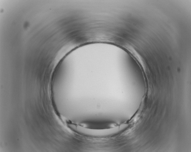 X0000088181293200706121642