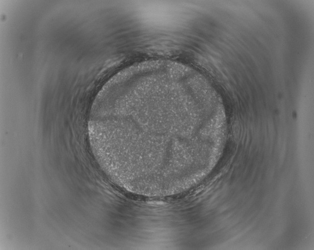 X0000088181297200706121641