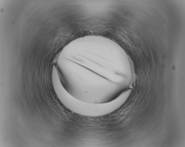 X0000088181298200706121641