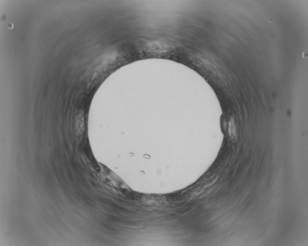 X0000088181299200706121641