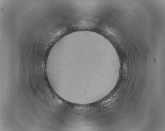 X0000088181300200706121641