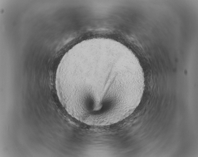 X0000088181301200706121641