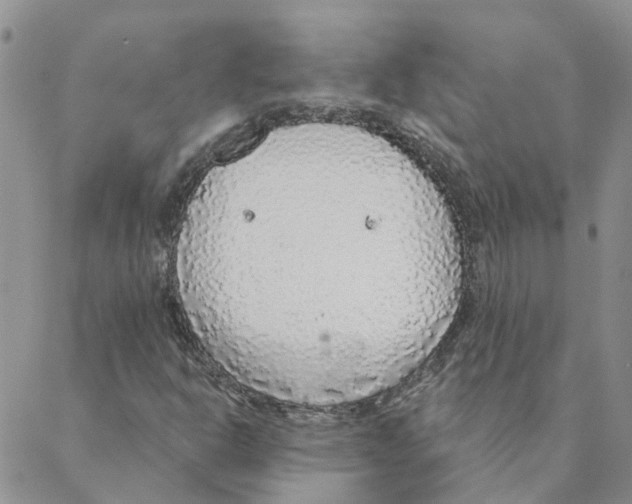 X0000088181302200706121641