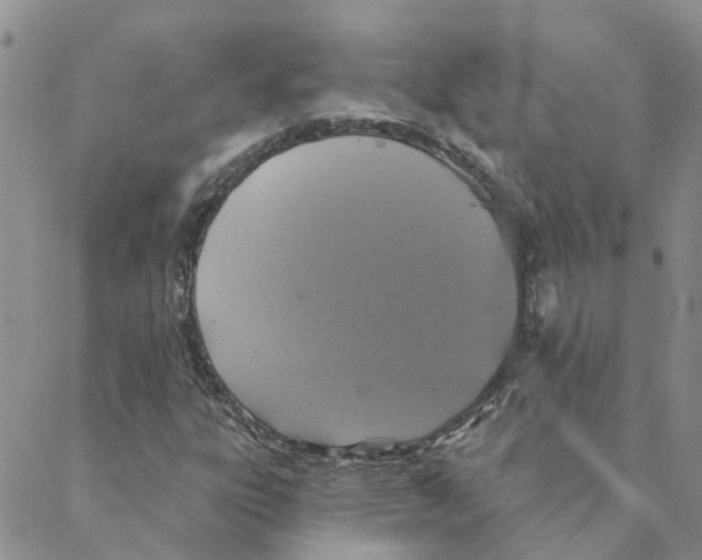 X0000088181303200706121641