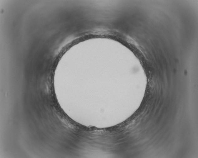 X0000088181304200706121641