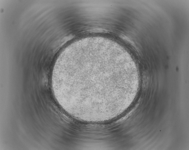 X0000088181305200706121641