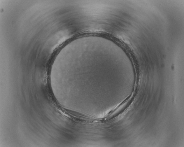 X0000088181306200706121641