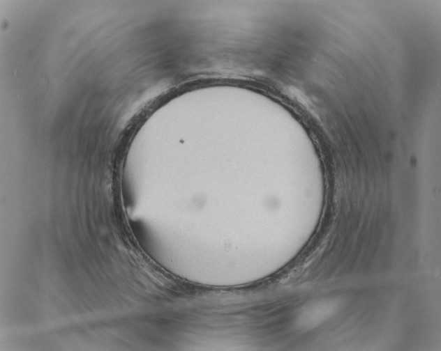 X0000088181307200706121641