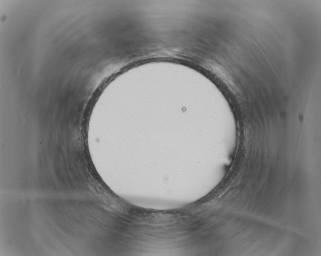 X0000088181308200706121641