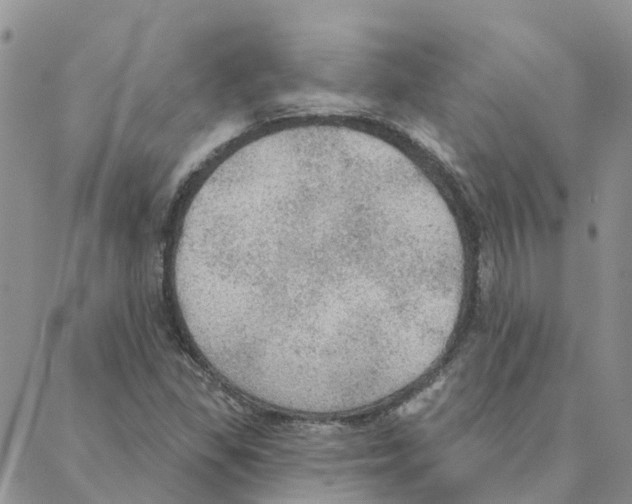 X0000088181309200706121641