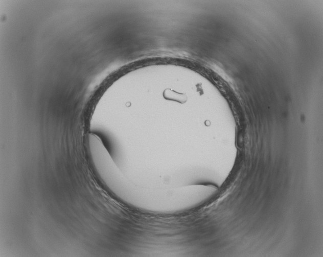 X0000088181310200706121641