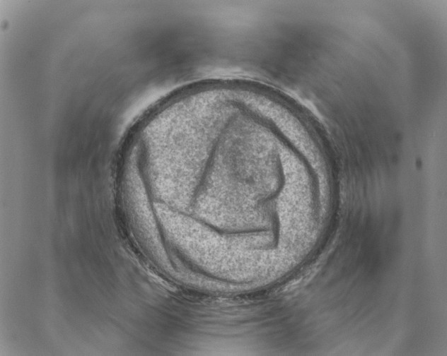 X0000088181311200706121641