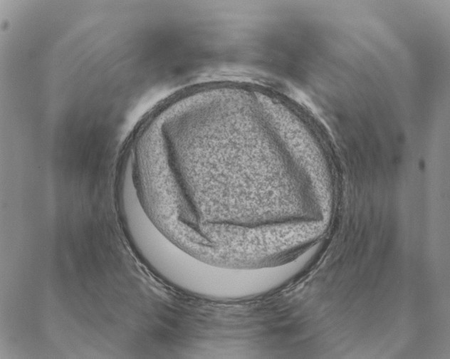 X0000088181312200706121641