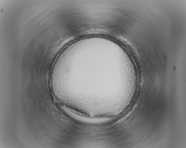 X0000088181313200706121641