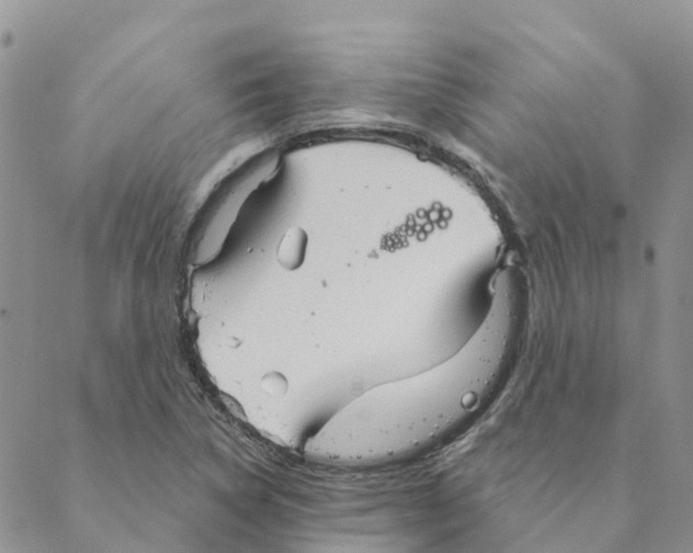 X0000088181314200706121641