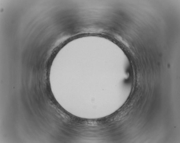 X0000088181315200706121641