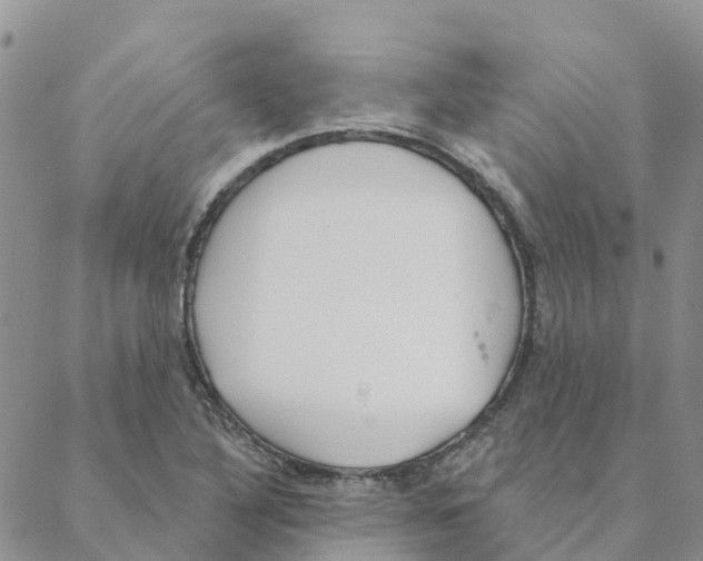 X0000088181316200706121641