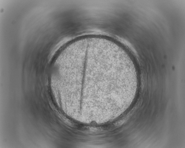 X0000088181318200706121641