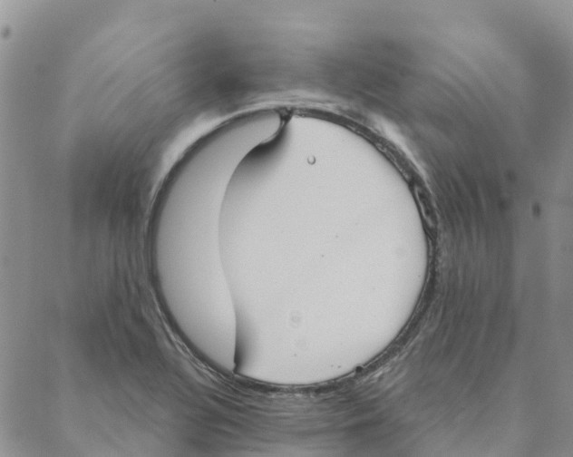 X0000088181320200706121641