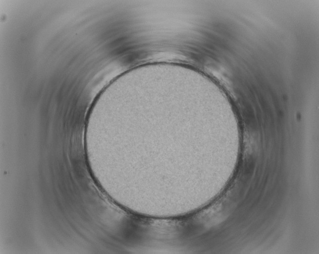 X0000088181322200706121641