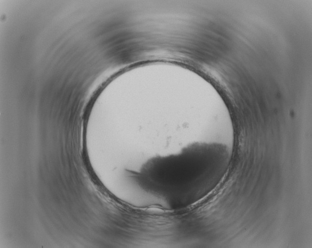 X0000088181323200706121641