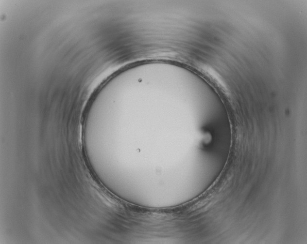 X0000088181324200706121641