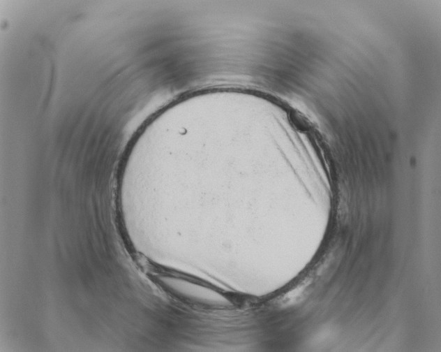 X0000088181325200706121641